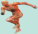 Fisioterapia  em São Roque